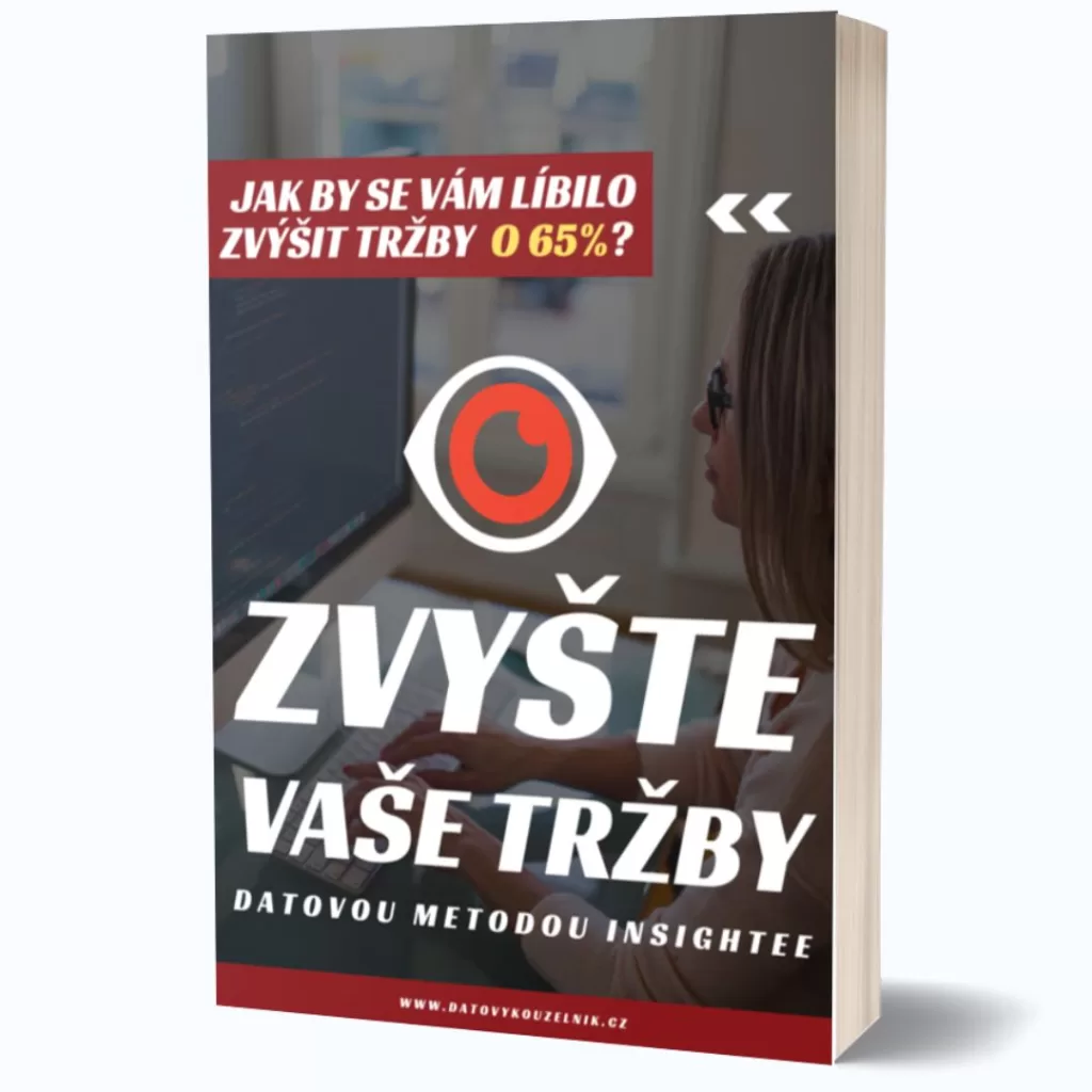Kniha o metodě Insightee